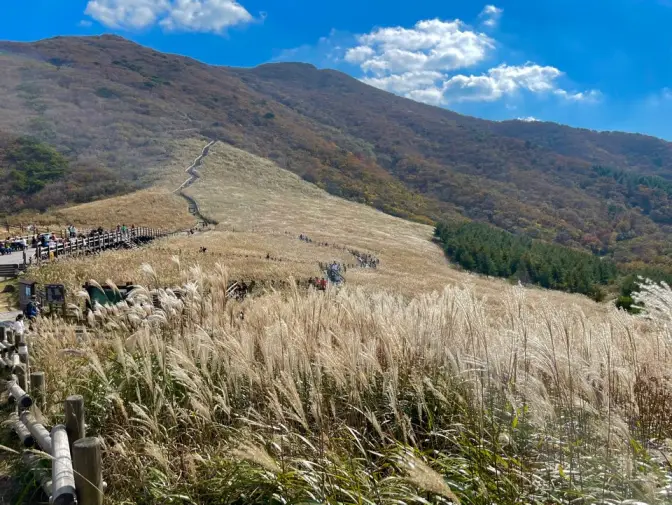 간월재 울산 10월 11월 억새풀 명소 사슴농원 코스, 휴게소, 간월산 정산