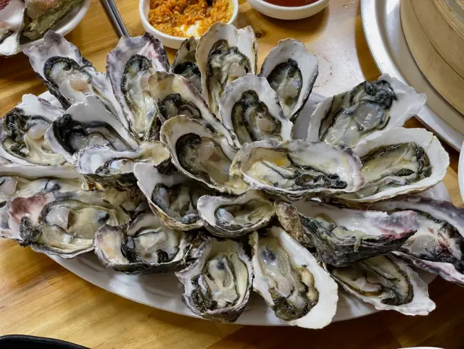 울산 남구 삼산동 오광수산회센터(달동횟집) 조개찜 석화 굴 맛집인 횟집